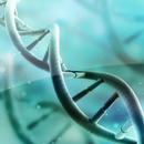 Wallpapers DNA APK