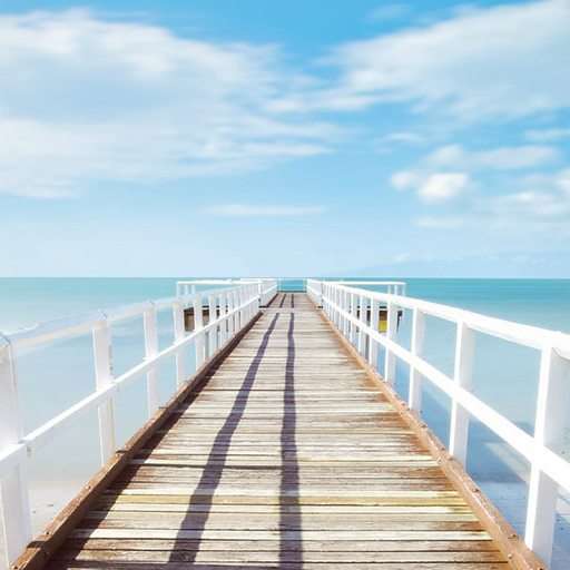 Wallpapers Summer