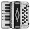 Accordion Piano Cassoto Game