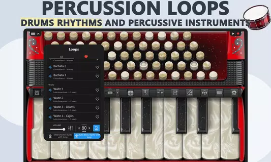 Accordion Piano Cassoto Game