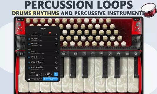 Accordion Piano Cassoto Game