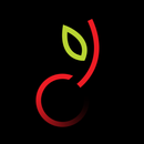 APK Cherryflix: Web Series & Movie