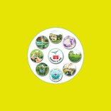 সমতলের চা শিল্প