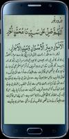 Darood Noor imagem de tela 2