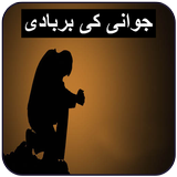 Jawani Ki Barbadi icon