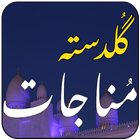 Munajaat icon