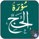 Surah Hajj APK