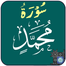 Surah Muhammad APK