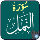 Surah Naml APK