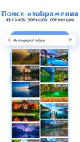 Поиск по Картинке и Картинки постер