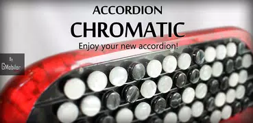 Accordion Chromatic Button