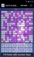 پوستر 16x16 Sudoku Challenge