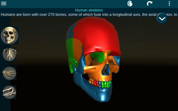 Osseous System in 3D (Anatomy) 截图 15