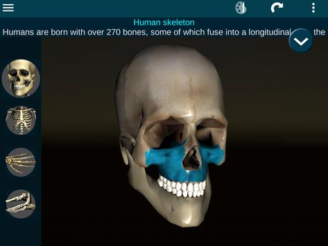 Osseous System in 3D (Anatomy) 截图 16