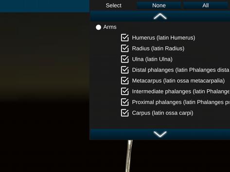Osseous System in 3D (Anatomy) 截图 18