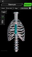 Osseous System in 3D (Anatomy) screenshot 1