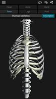 Osseous System in 3D (Anatomy) تصوير الشاشة 2