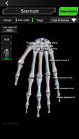 Osseous System in 3D (Anatomy) screenshot 2