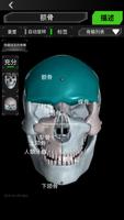 3D 骨系统（解剖学） 截图 1
