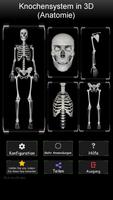 Osseous System 3D (Anatomie) Plakat