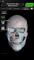 Osseous System 3D (Anatomie) Screenshot 1