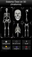 Sistema Oseo en 3D (anatomía) Poster