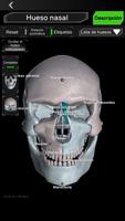 Sistema Oseo en 3D (anatomía) captura de pantalla 2