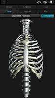 Système osseux 3D (anatomie) capture d'écran 2
