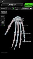 Système osseux 3D (anatomie) capture d'écran 2