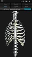 2 Schermata Sistema Osseo 3D (Anatomia)