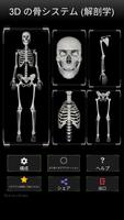 3D人骨（解剖学） ポスター