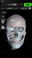 3D人骨（解剖学） スクリーンショット 1