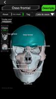 Sistema ósseo 3D (Anatomia) imagem de tela 1