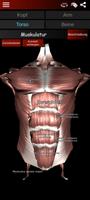 Muskulöses System 3D Anatomie Screenshot 2