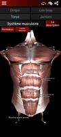 Système musculaire 3D Anatomie capture d'écran 2