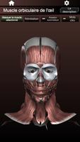 Système musculaire 3D Anatomie capture d'écran 2