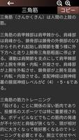 筋肉系3D（解剖学） スクリーンショット 2