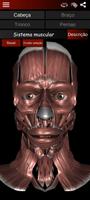 Sistema Muscular 3D Anatomia Cartaz