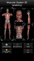 Muscular System 3D (anatomy) bài đăng