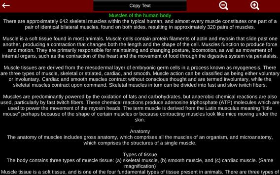 Muscular System 3D (anatomy) 截图 14
