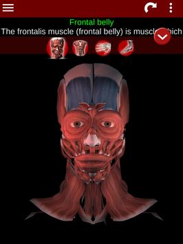 Muscular System 3D (anatomy) 截图 16