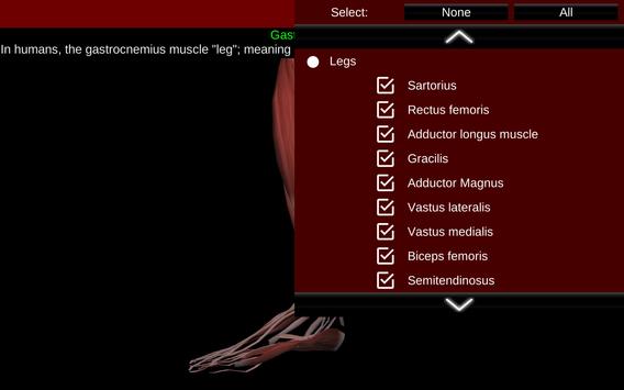 Muscular System 3D (anatomy) 截图 12