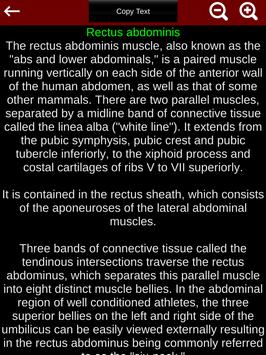 Muscular System 3D (anatomy) 截图 22