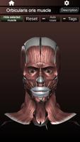 Muscular System 3D (anatomy) ảnh chụp màn hình 2