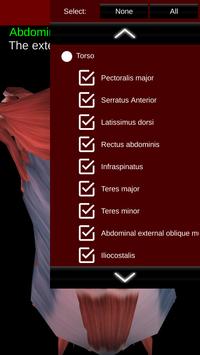 Muscular System 3D (anatomy) 截图 4