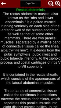 Muscular System 3D (anatomy) 截图 7