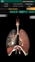 Inneren Organe 3D (Anatomie) Screenshot 1