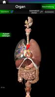 Inneren Organe 3D (Anatomie) Screenshot 1