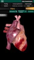 Inneren Organe 3D (Anatomie) Screenshot 2