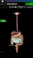 Inneren Organe 3D (Anatomie) Screenshot 2